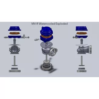 Wastegate TIAL MV-R 44mm