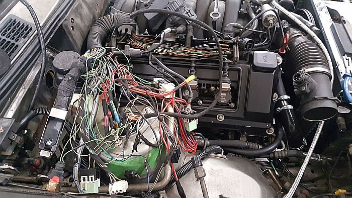 e30 swap M60, M62, S62, N62 modyfikacja elektryki, wiring diagram, `